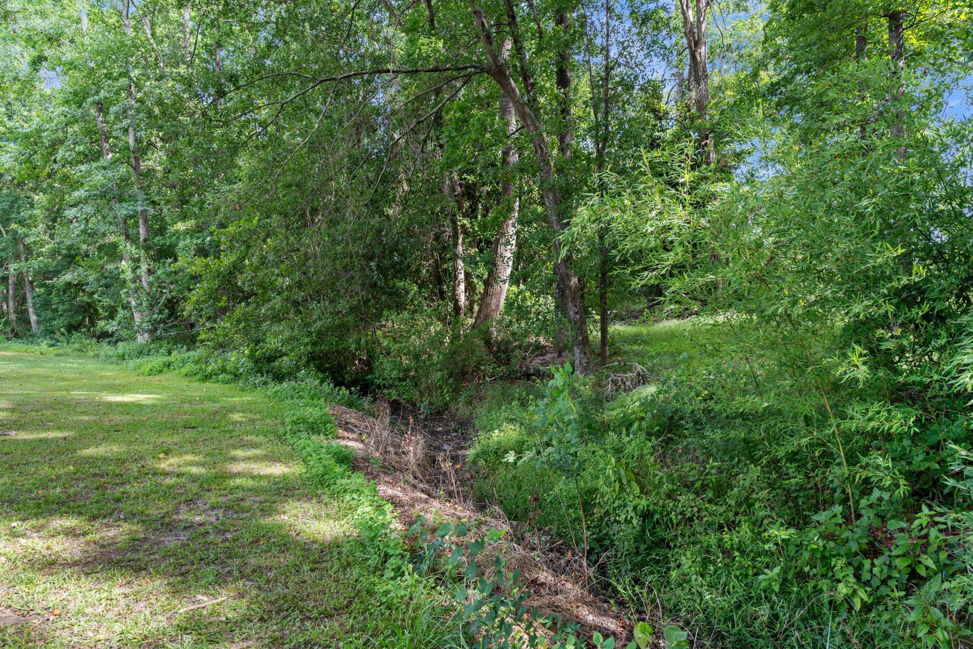 126 Roquemore Drive Photo 39
