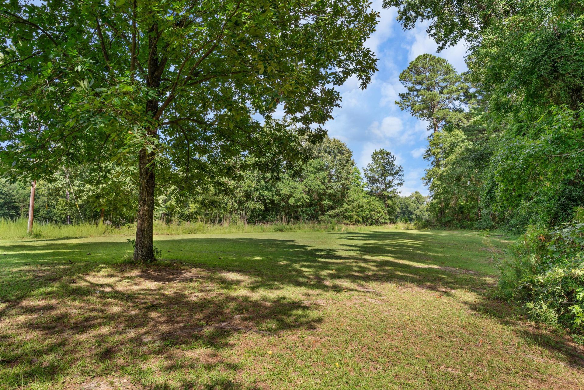 126 Roquemore Drive Photo 40