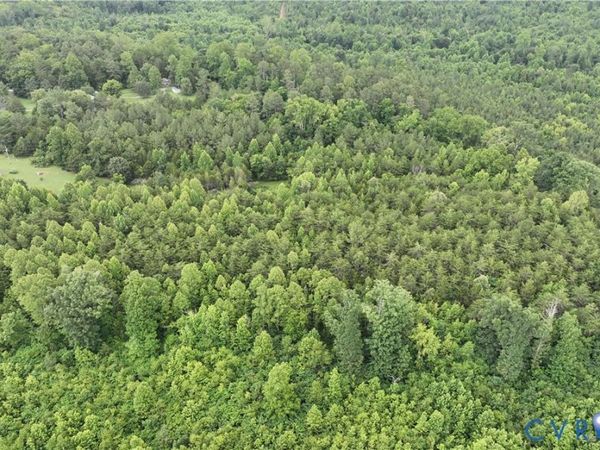 7.8 AC Horsepen Road, Farmville, VA 23901