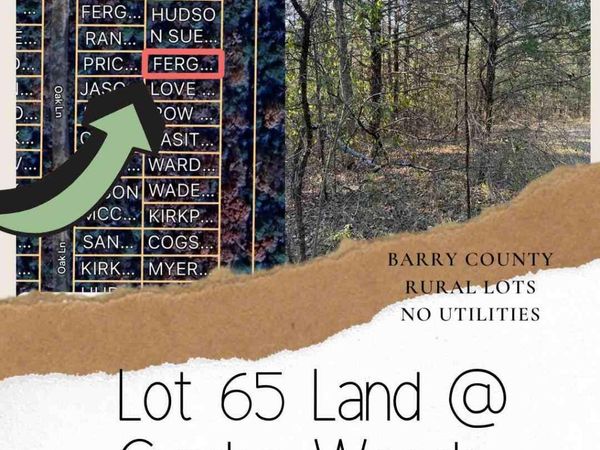 Lot 65 Gumbo Woods , Shell Knob, MO 65747