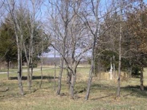 2294 State Highway 64 , Louisburg, MO 65685