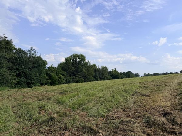 1665 Cosby Highway, Newport, TN 37821