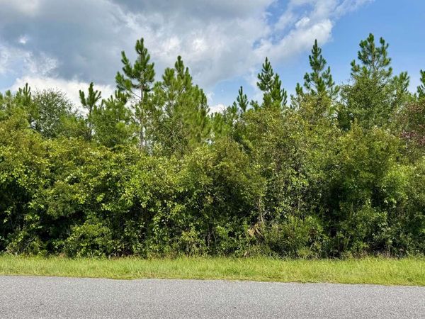 CR 51 N, Jasper, FL 32052