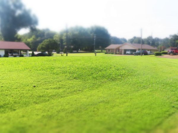 19 Wallace Cove , Jackson, TN 38305