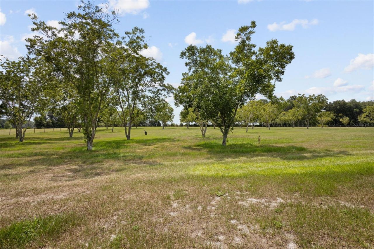 8140 Meadowlark Ct, Melrose, FL 32666 Photo