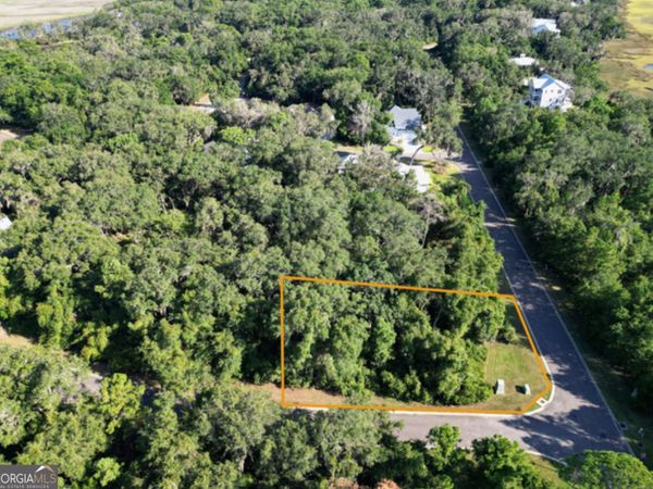 V/L 519 Massias Lane + Campbell Parkway, St. Marys, GA 31558
