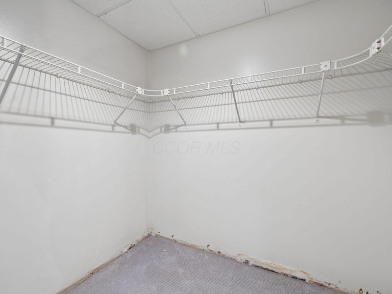 25477 Armstrong Road, Laurelville, OH 43135 Photo 45