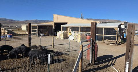9705 Iroquois Trail, Stagecoach, NV 89429 Photo