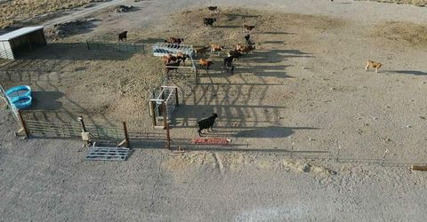 9705 Iroquois Trail, Stagecoach, NV 89429 Photo