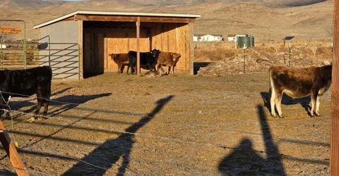 9705 Iroquois Trail, Stagecoach, NV 89429 Photo