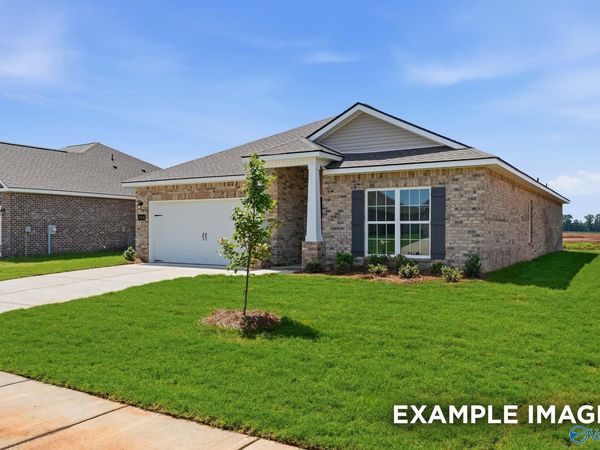 242 Irish Hill Drive, Meridianville, AL 35759