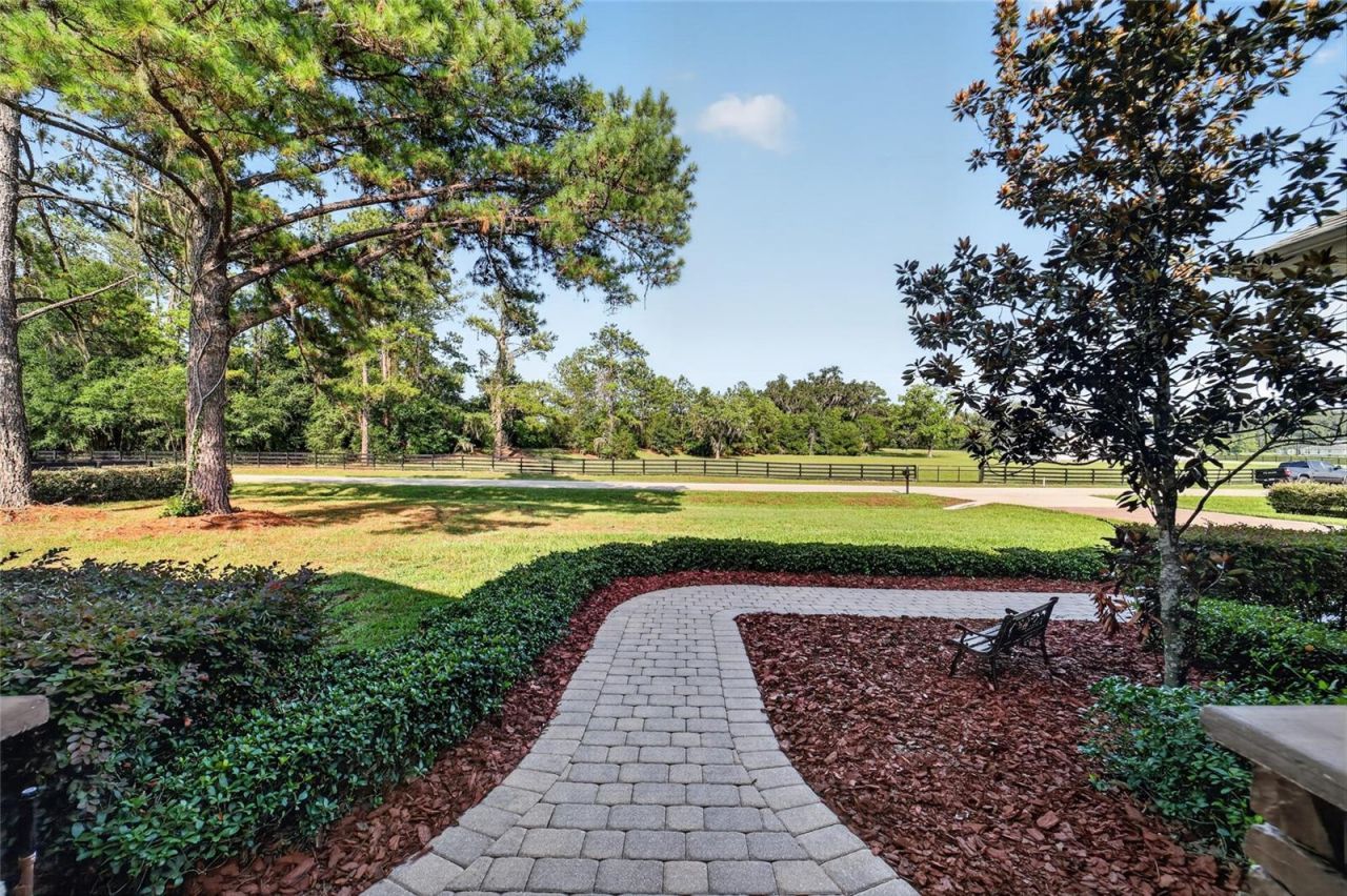 11050 SE 37th Avenue Road, Belleview, FL 34420 Photo