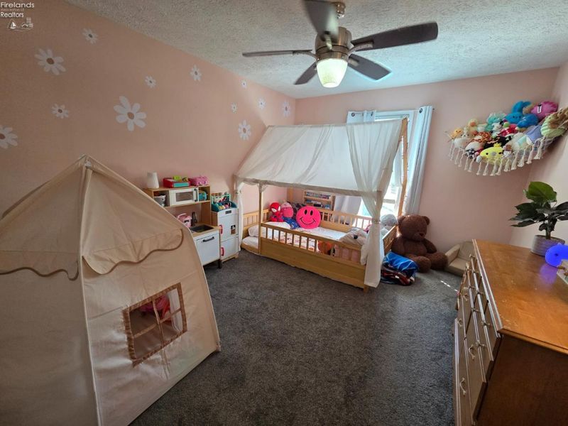 4350 County Road 175, Clyde, OH 43410 Photo 19