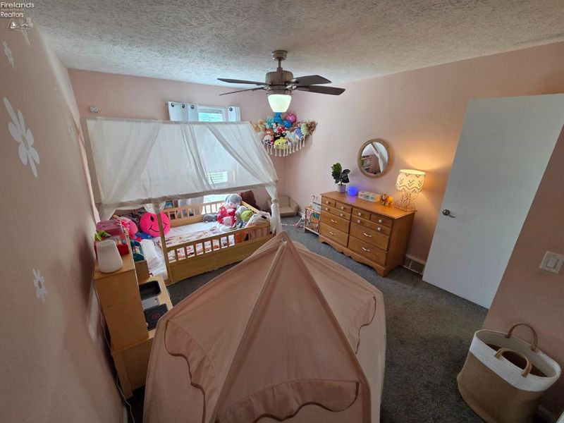4350 County Road 175, Clyde, OH 43410 Photo 21