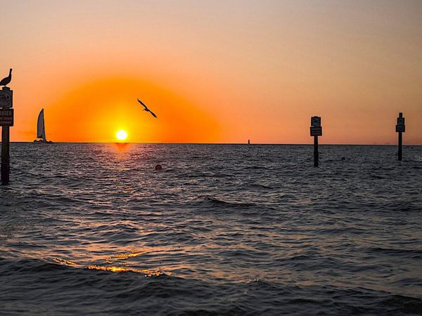 880 MANDALAY AVENUE , Unit 604, CLEARWATER BEACH, FL 33767