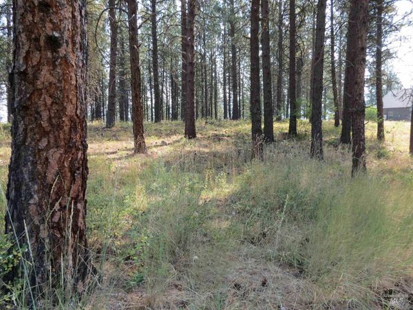 Lot 64 White Pine Dr., Garden Valley, ID 83622