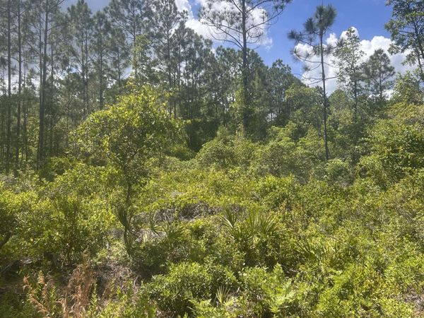 242 LAKEWAY Drive, Georgetown, FL 32139