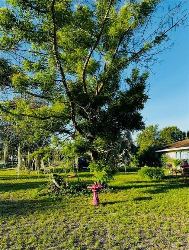 455 Trader Rd , Fort Denaud, FL 33935 Photo