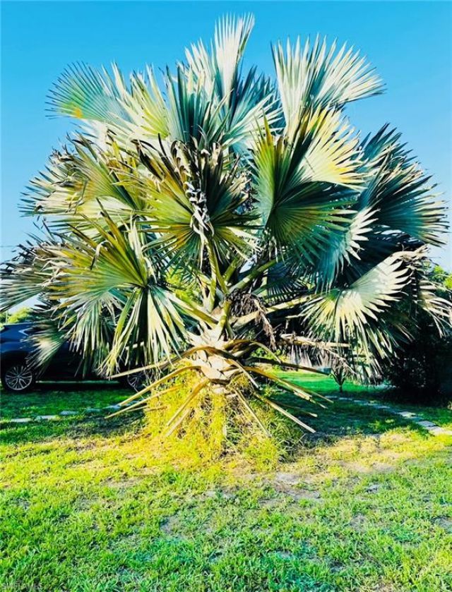 455 Trader Rd , Fort Denaud, FL 33935 Photo