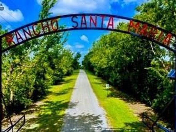 919 Harrell Road , Howe, TX 75459