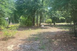 00 Poinsettia Road  photo 4