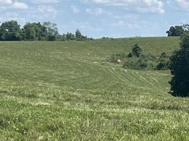 1699 Gillispie Road, Paris, KY 40361