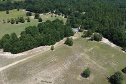 299 Poinsettia Road  photo 4