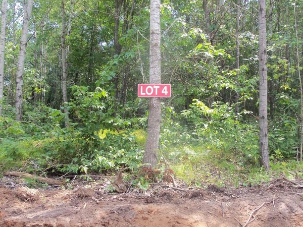 Lot 4 Birch Tree Trl , Spooner, WI 54801