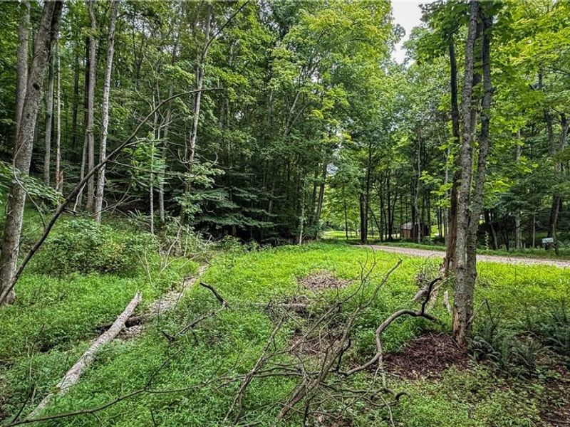 25484 Township Rd 111, Warsaw, OH 43844 Photo 42