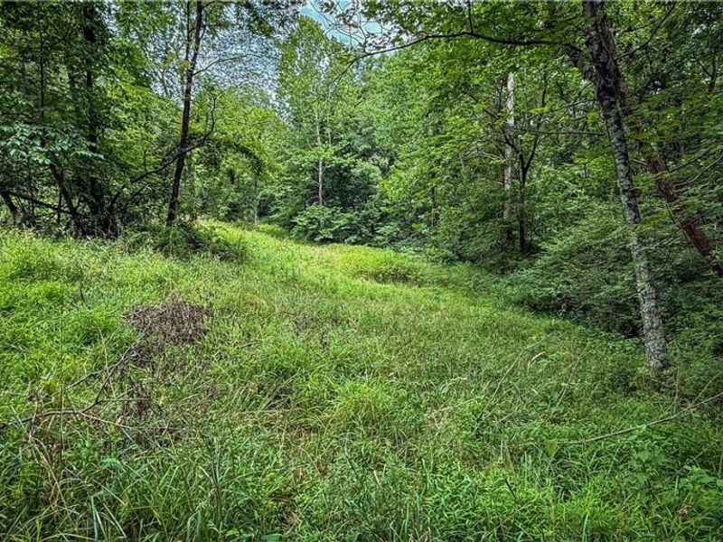 25484 Township Rd 111, Warsaw, OH 43844 Photo 9