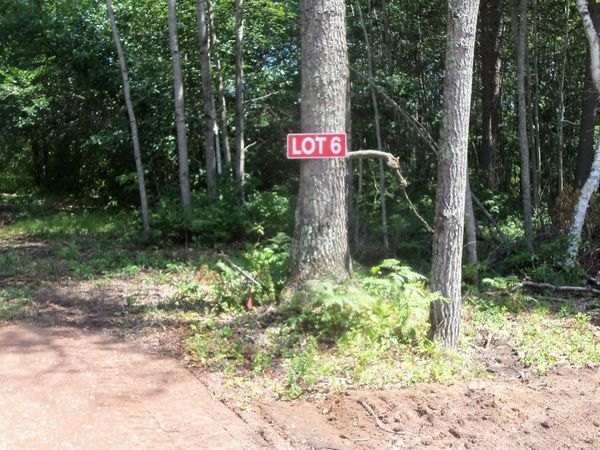 Lot 6 Birch Tree Trl , Spooner, WI 54801