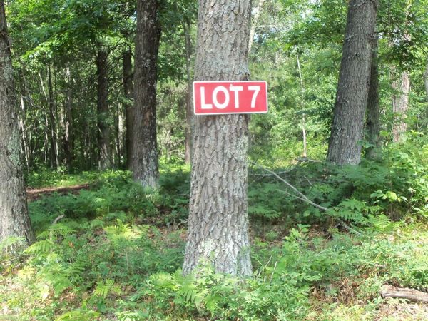 Lot 7 Birch Tree Trl , Spooner, WI 54801