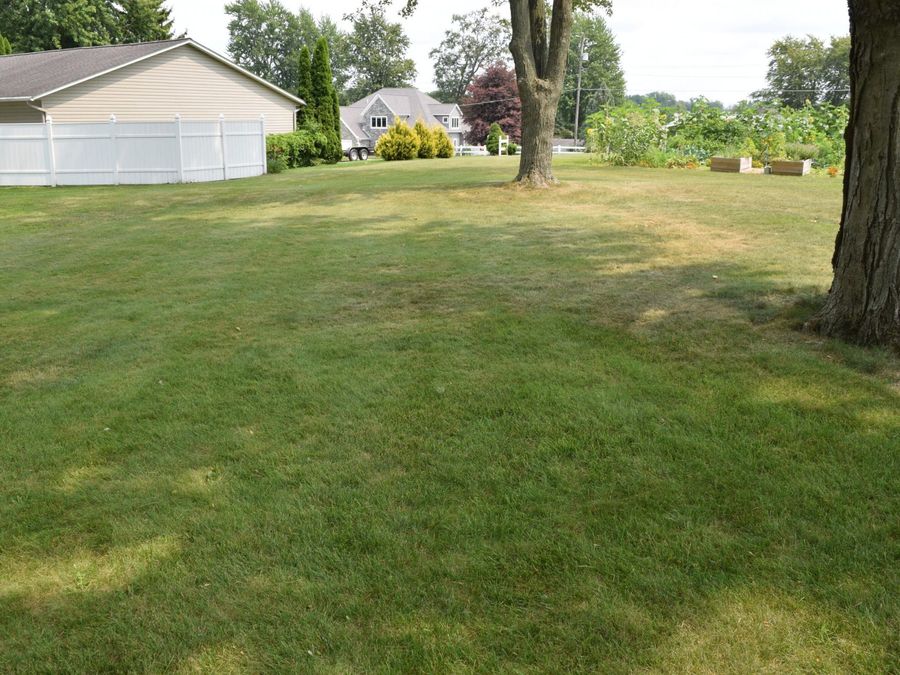 Property Image 87