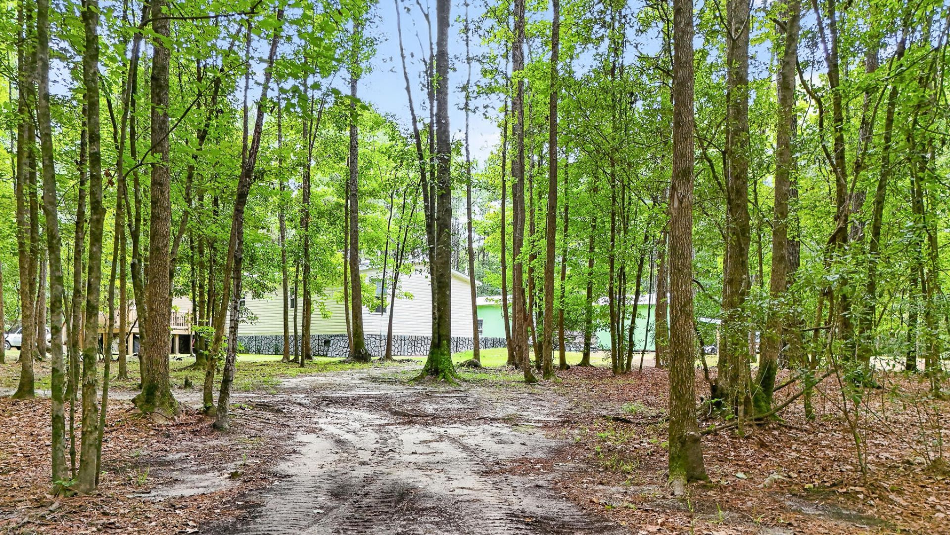 173 Gum Branch Road Photo 3