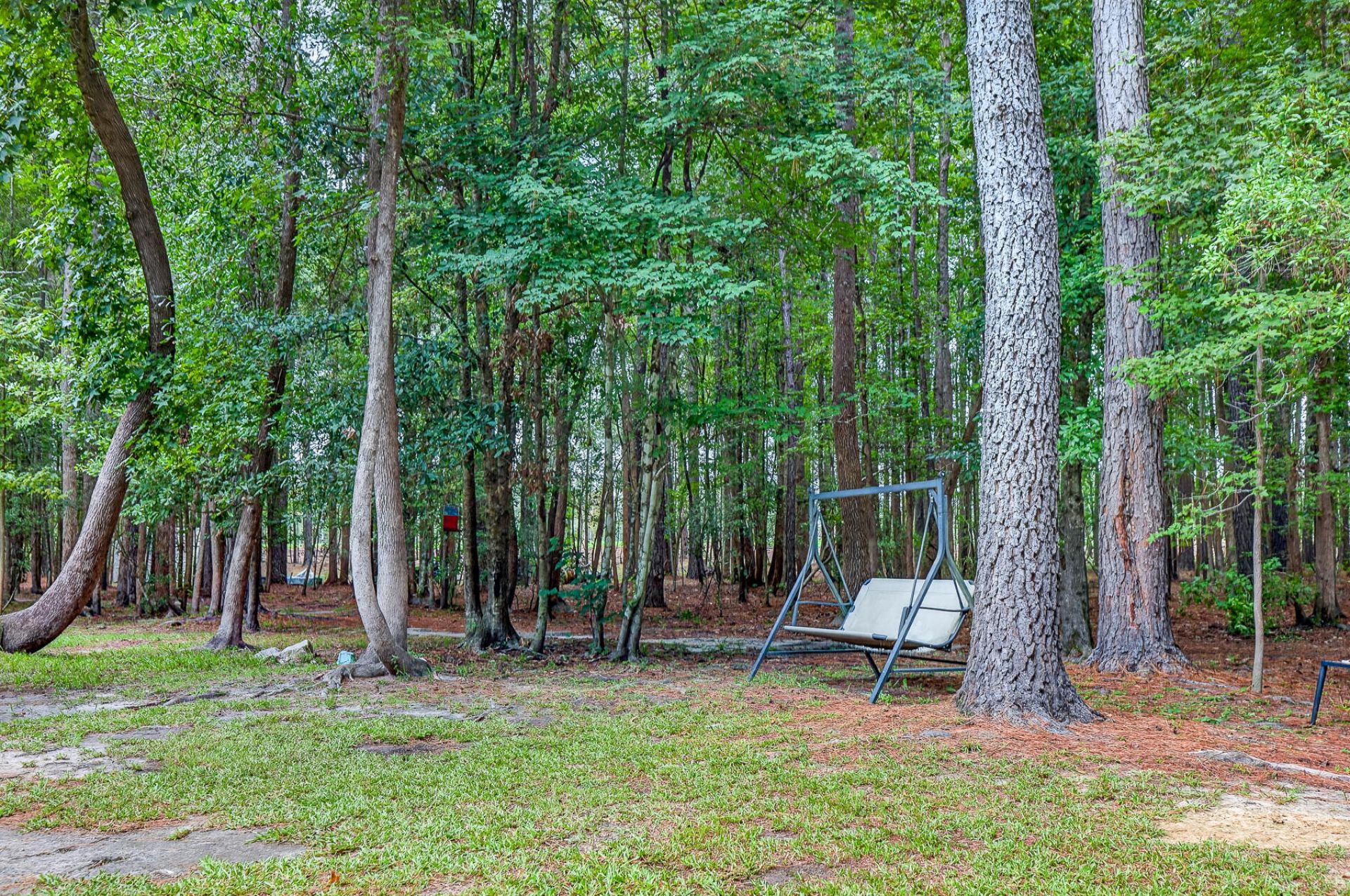 173 Gum Branch Road Photo 62