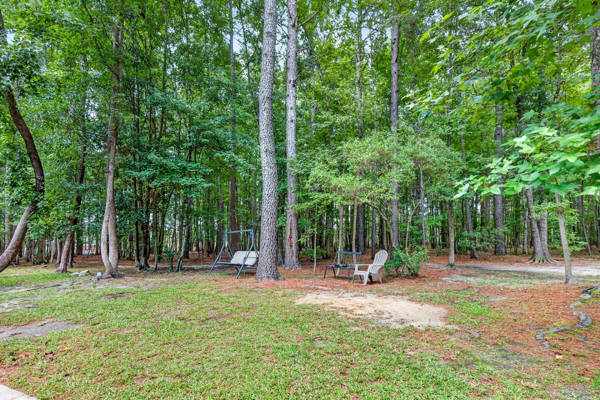 173 Gum Branch Road Photo 63