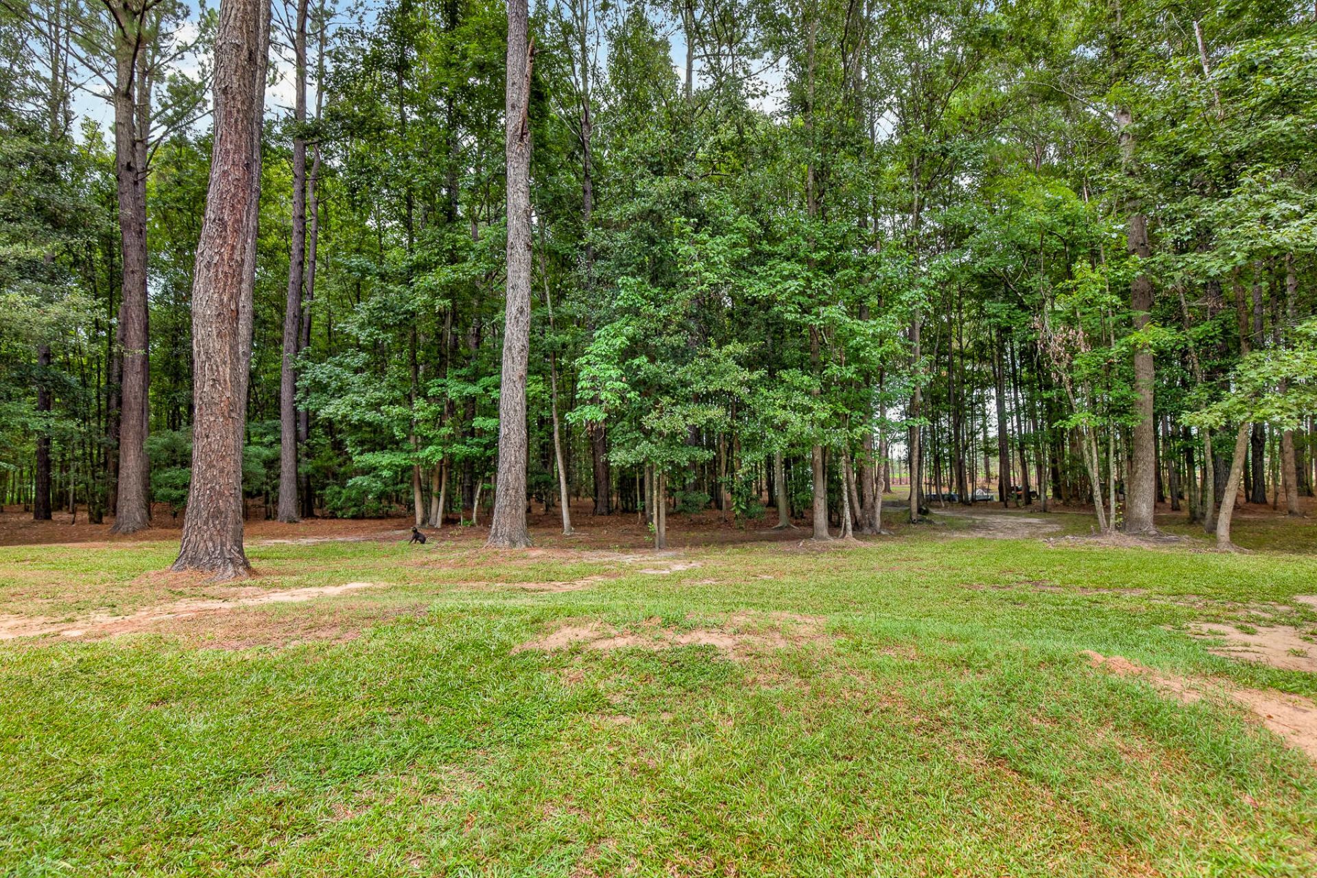 173 Gum Branch Road Photo 66