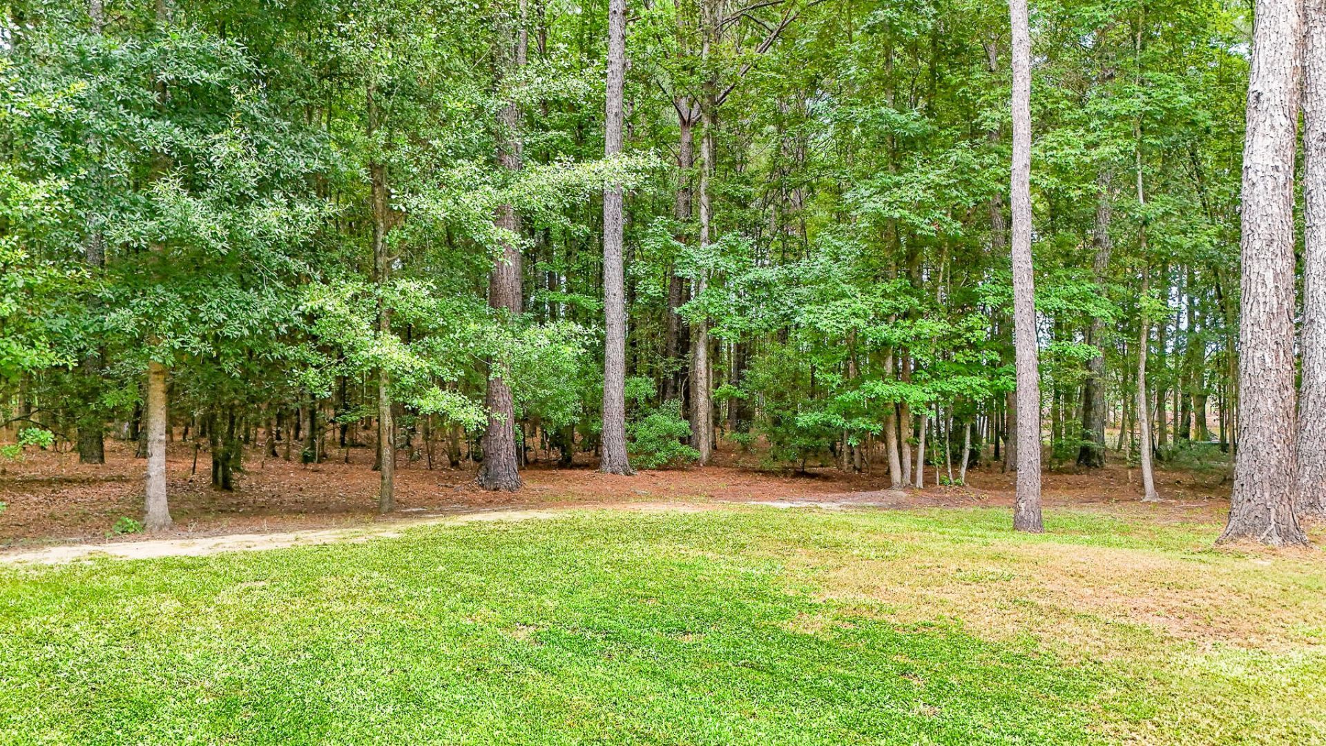 173 Gum Branch Road Photo 68