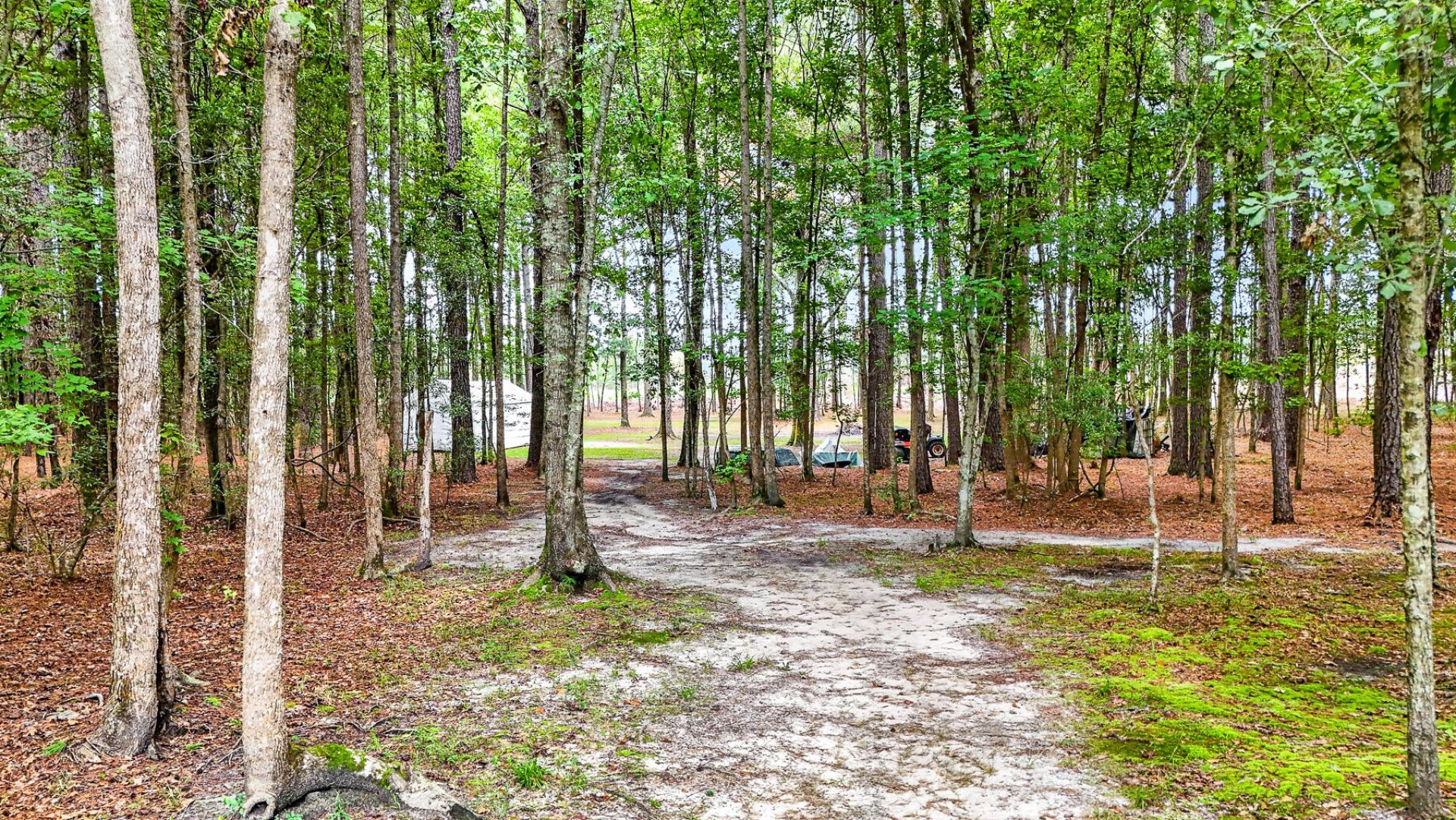 173 Gum Branch Road Photo 70
