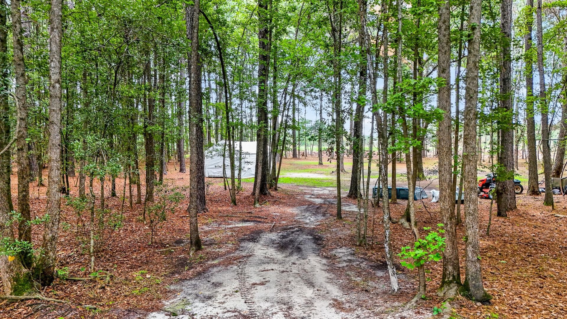 173 Gum Branch Road Photo 71