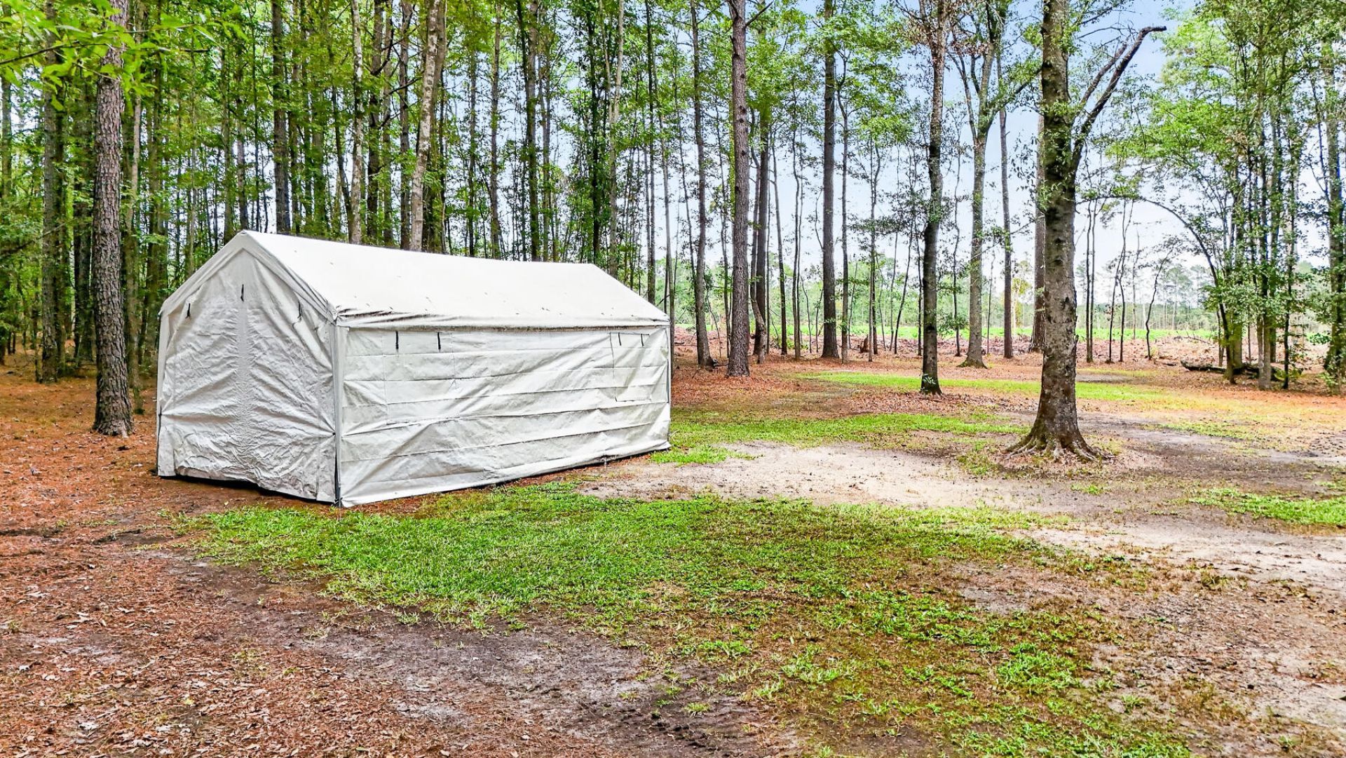 173 Gum Branch Road Photo 74