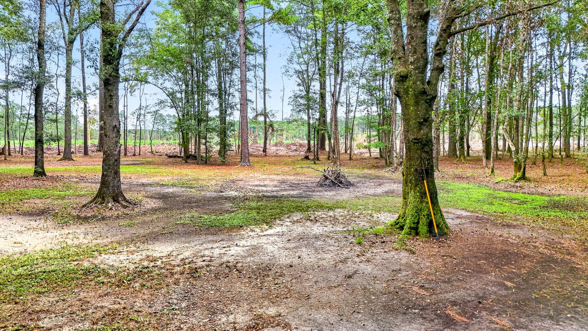 173 Gum Branch Road Photo 75
