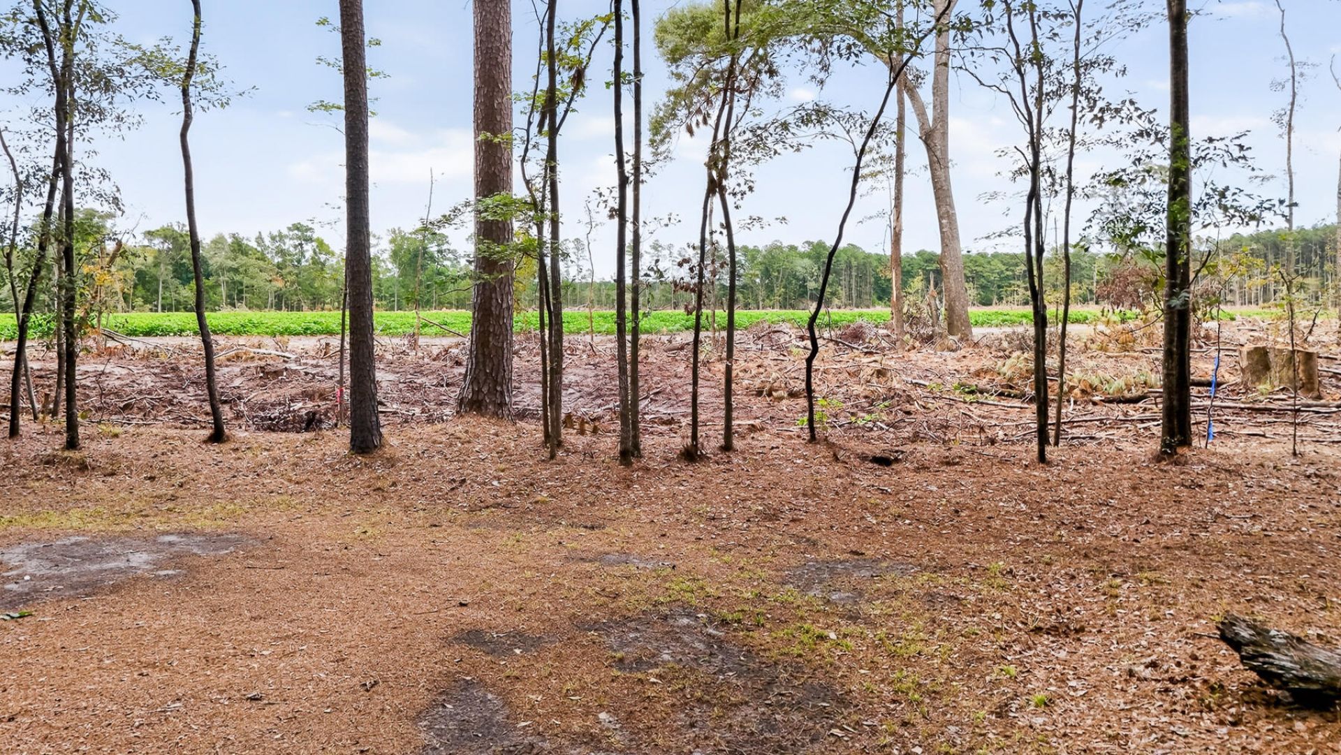 173 Gum Branch Road Photo 76