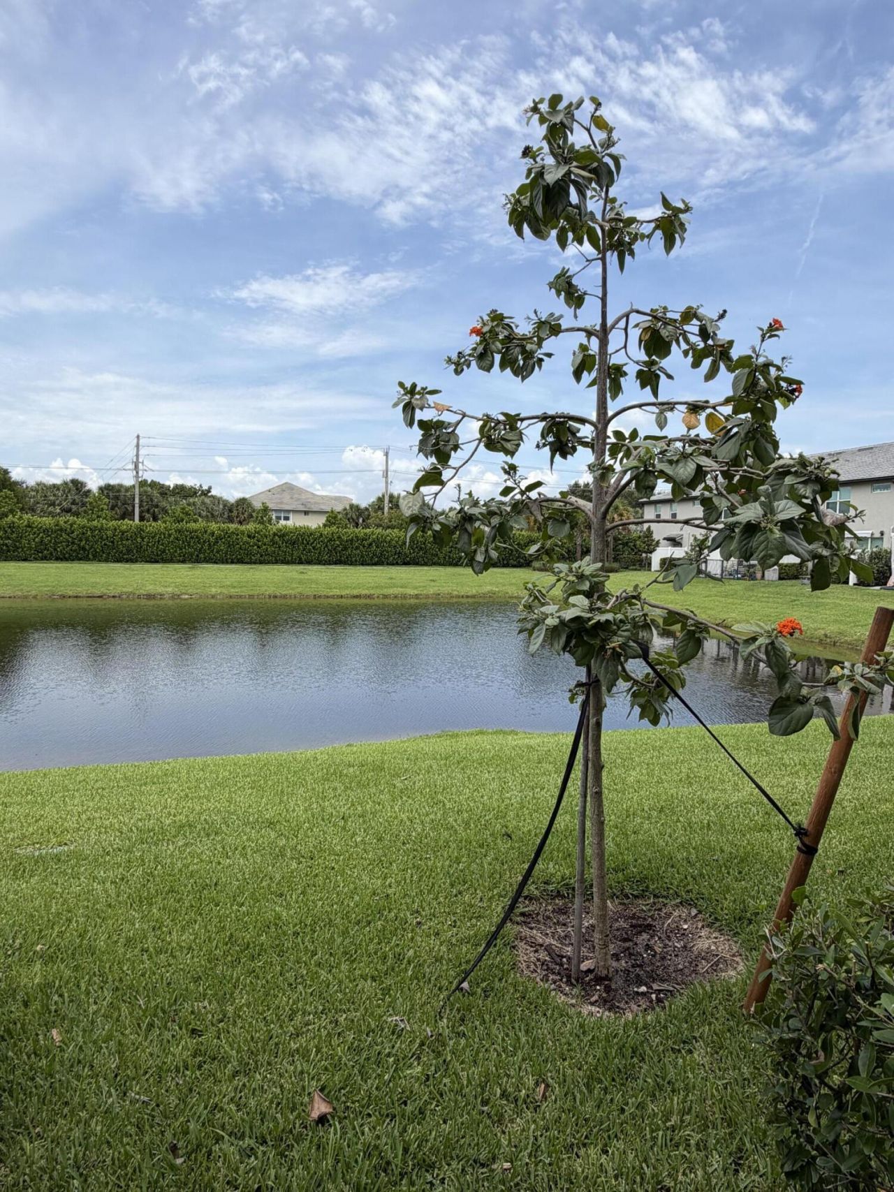 2933 Olivia Avenue, Lauderdale Lakes, FL 33311 Photo