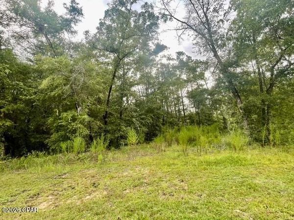 0 View Drive, Alford, FL 32420