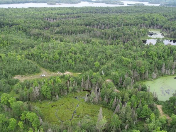 300 Acres TBD Holli Blue Road, Republic Twp, MI 49879
