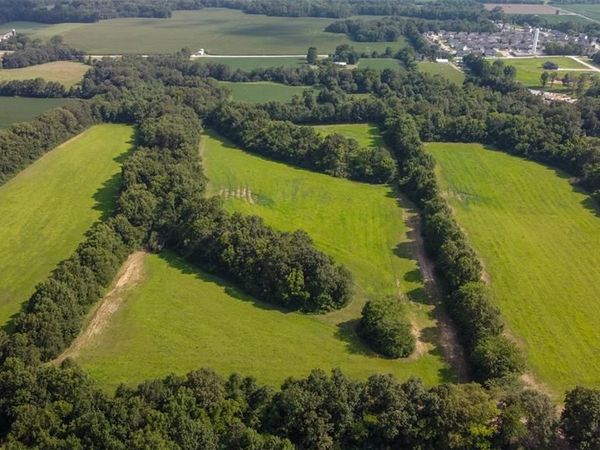 43 +/- Acres Cuivre Point Rd., Moscow Mills, MO 63362