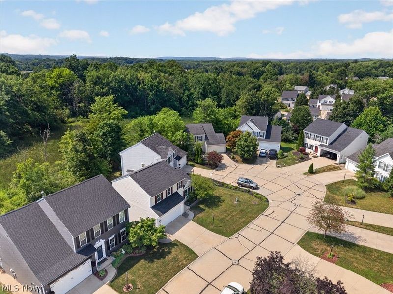 10141 Ravenwood Court, Streetsboro, OH 44241 Photo 46