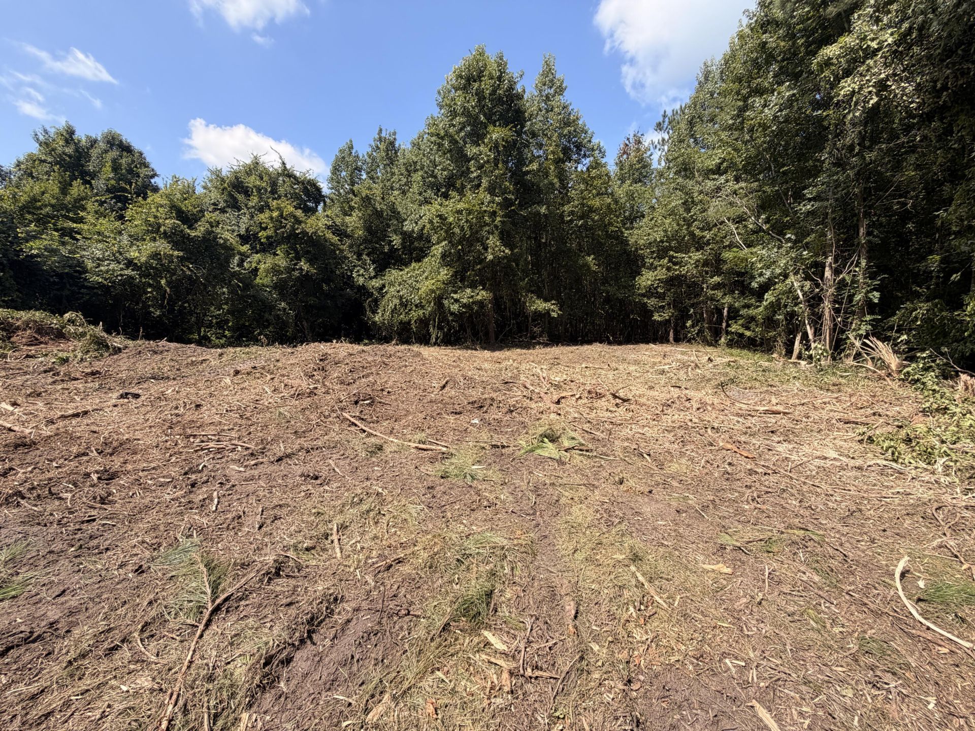 1547d Pine Valley Drive Photo 5