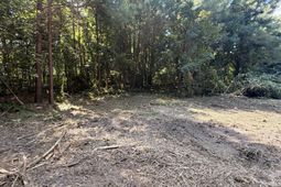 1547c Pine Valley Drive photo 4